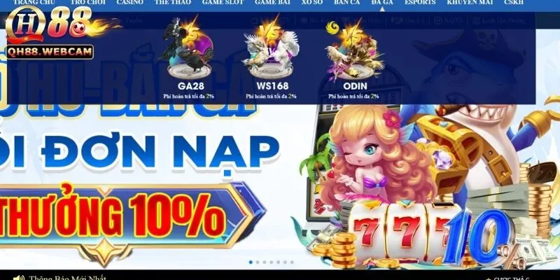 Nền tảng và hỗ trợ của Đá Gà GA28