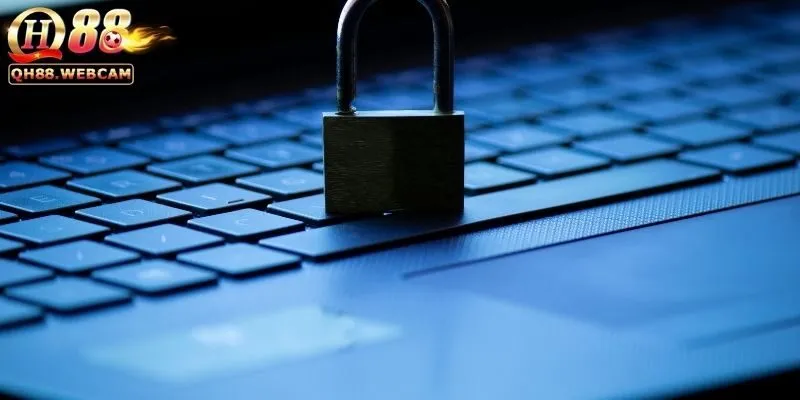 Thông Tin Được Thu Thập