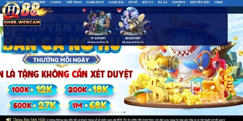 Các tính năng nổi bật khác của TF ESPORT